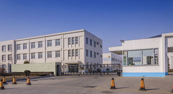 二溴苯市場動態與高級催乳師職業解析